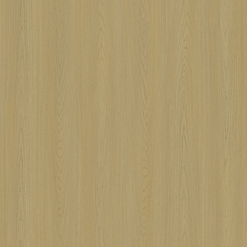LACAGE-RS1233